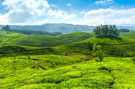 Alleppey Tours and Travels
