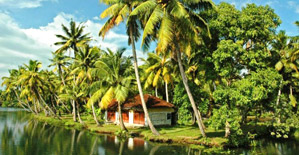 www.alleppeytravels.com