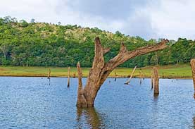Alleppey Tours and Travels