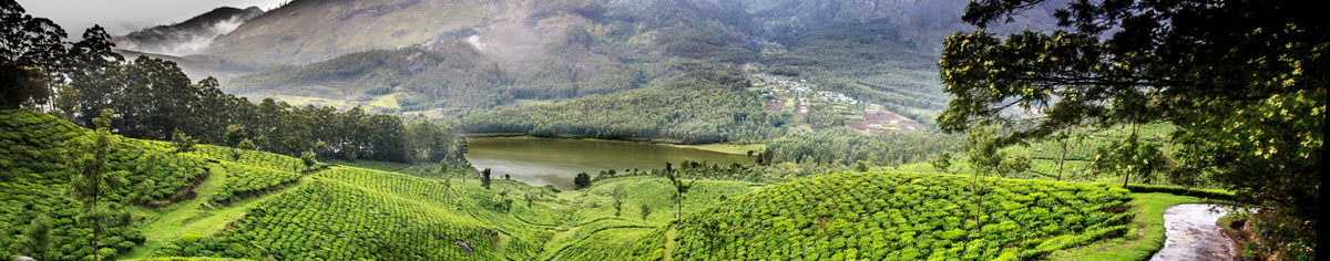 Alleppey Tours and Travels