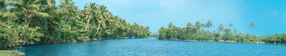 Alleppey Tours and Travels