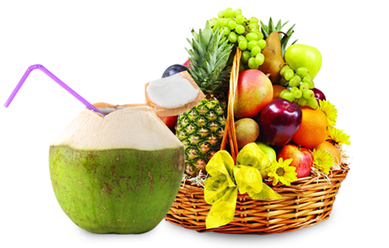 Alleppey Tours and Travels