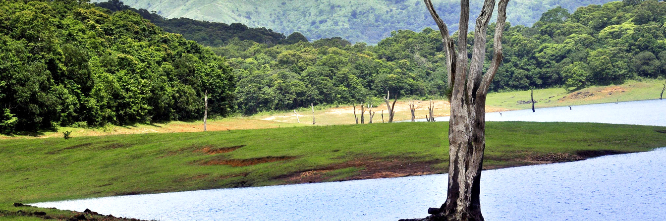 Alleppey Tours and Travels